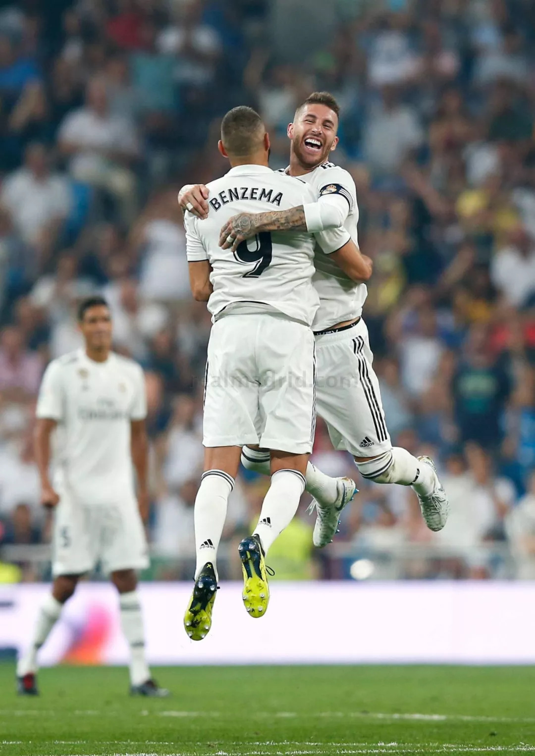 篇文章的搜 篇文章的搜